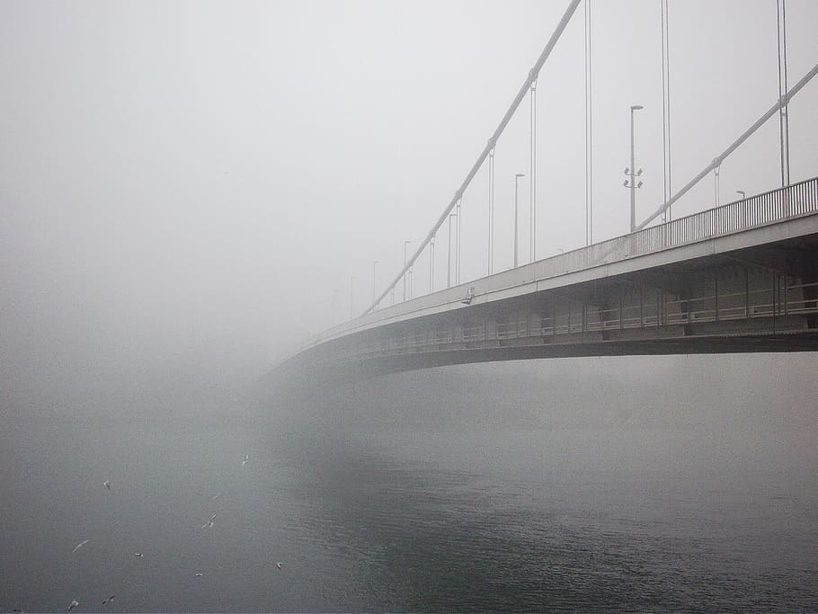 bridge, danube, white, winter, will, fog, misty, bridge - man made structure HD wallpaper