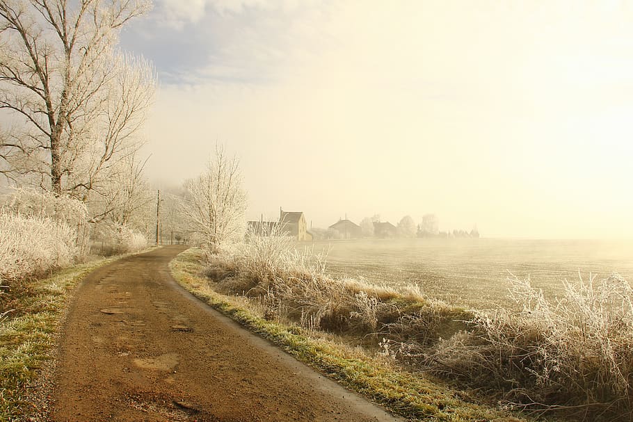 france, bussières-et-pruns, winter, road, field, village, tree, HD wallpaper