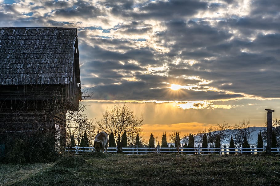 nature, outdoors, building, light, flare, housing, sunlight HD wallpaper