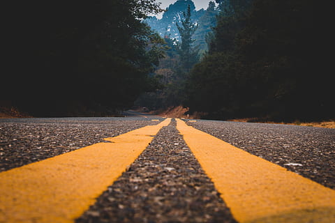 asphalt road between trees, tarmac, united states, the double yellow line HD wallpaper