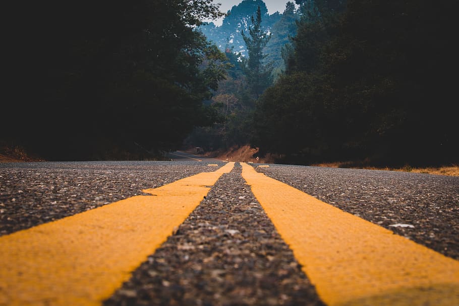 asphalt road between trees, tarmac, united states, the double yellow line HD wallpaper