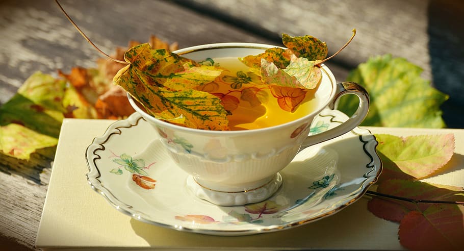 White Ceramic Teacup on Saucer, drink, herb, plate, porcelain HD wallpaper