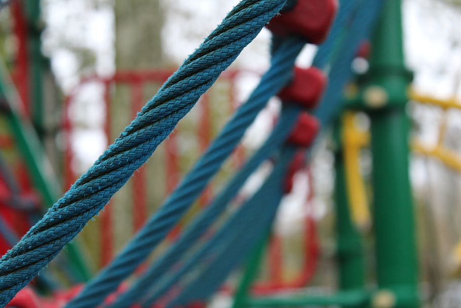 sphere, animal, bird, playground, rope, green, blue, colorful, HD wallpaper