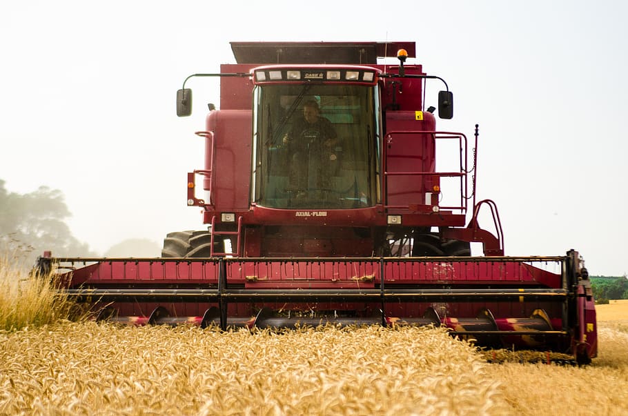 harvester, tractor, wheat, agriculture, farm, machine, fieldwork, HD wallpaper