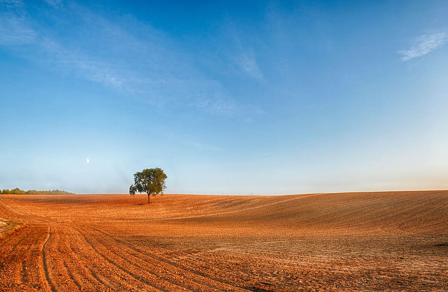 landscape, fields, ridge, arable, tree, sky, clouds, nature HD wallpaper