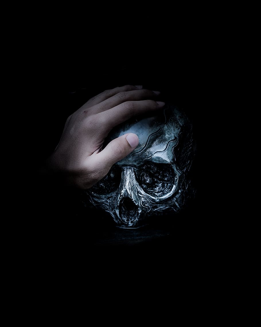 person holding gray skull illustration, human, hand, black, dark, HD wallpaper