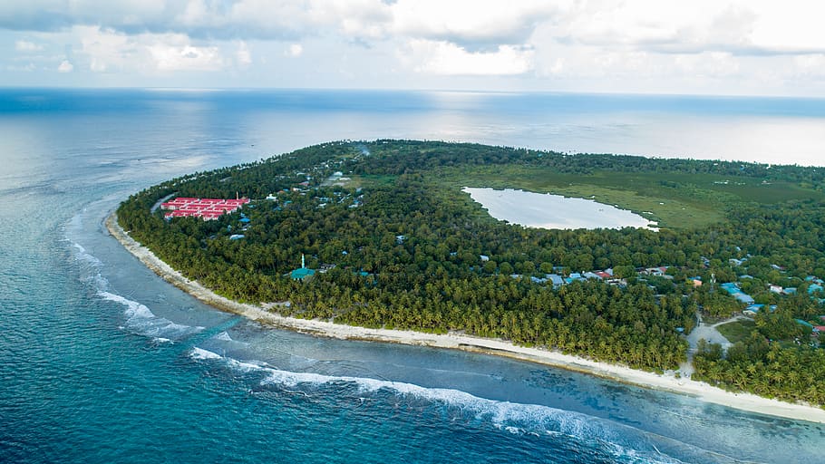 tree covered island during day, outdoors, nature, sea, ocean HD wallpaper