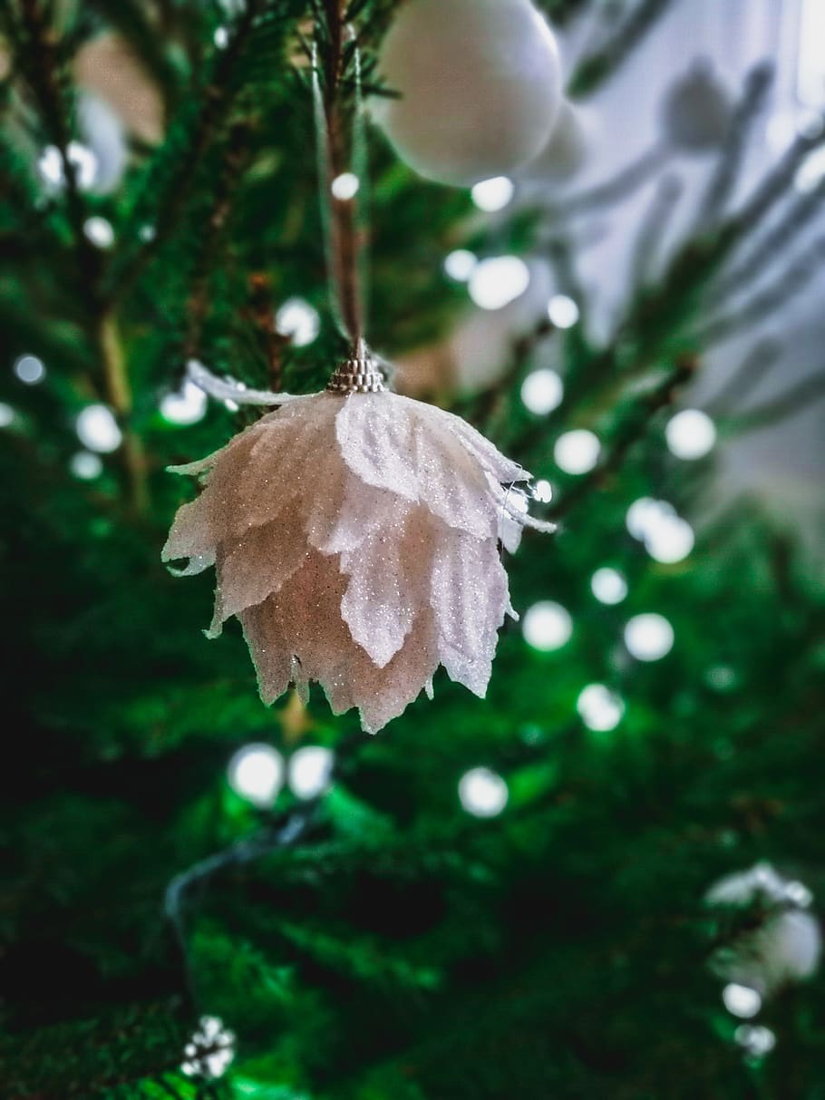 christmas, tree, green, vacations, peace, family, time, bokeh HD wallpaper