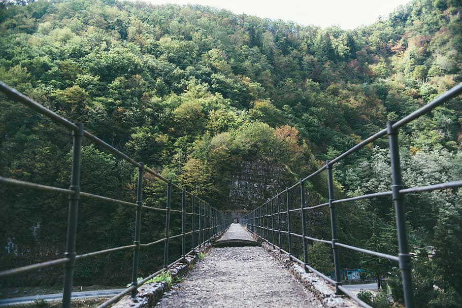 georgia, adjara, bridge, trees, europe, structure, forest, plant HD wallpaper