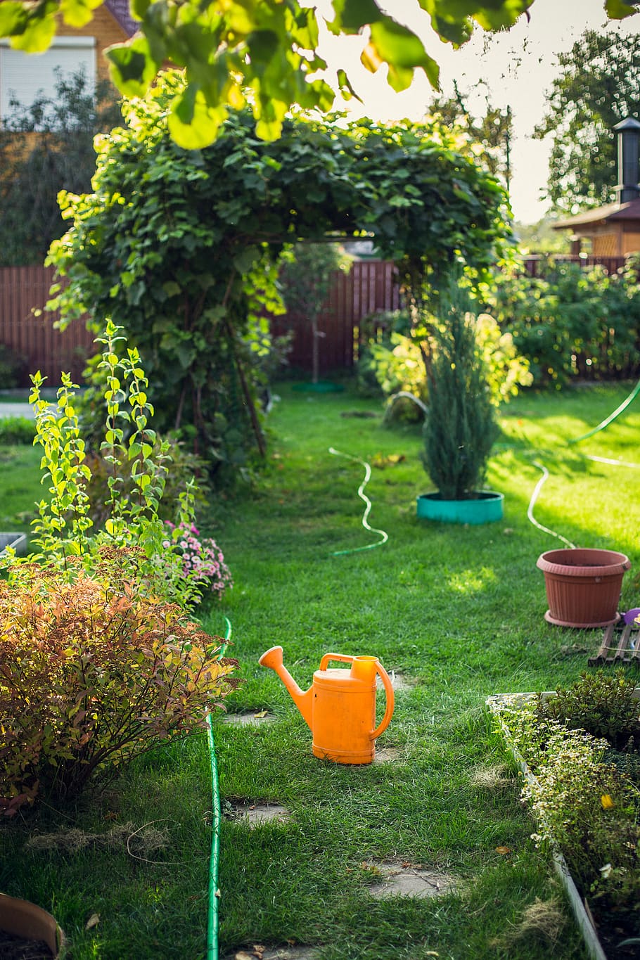 rustic, summer, bush, flowerbed, watering_can, gardening, gardener HD wallpaper