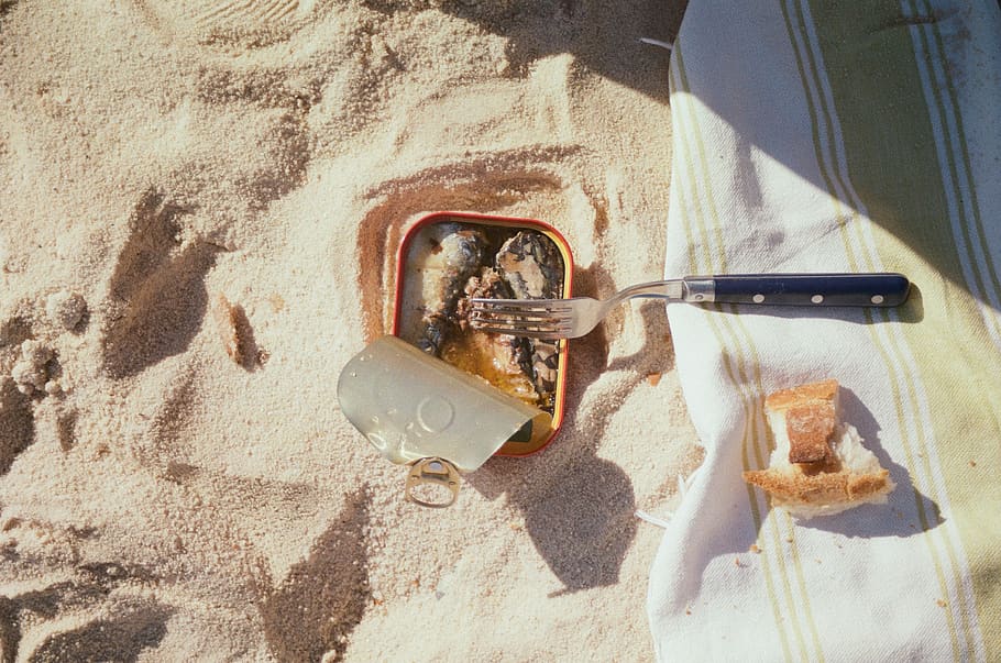 sardines on can, sand, food, france, nature, outdoors, nice, french HD wallpaper