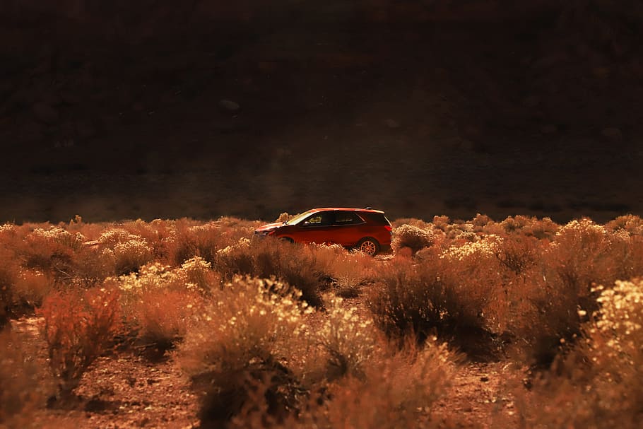 red SUV on road, transportation, car, automobile, vehicle, nature HD wallpaper