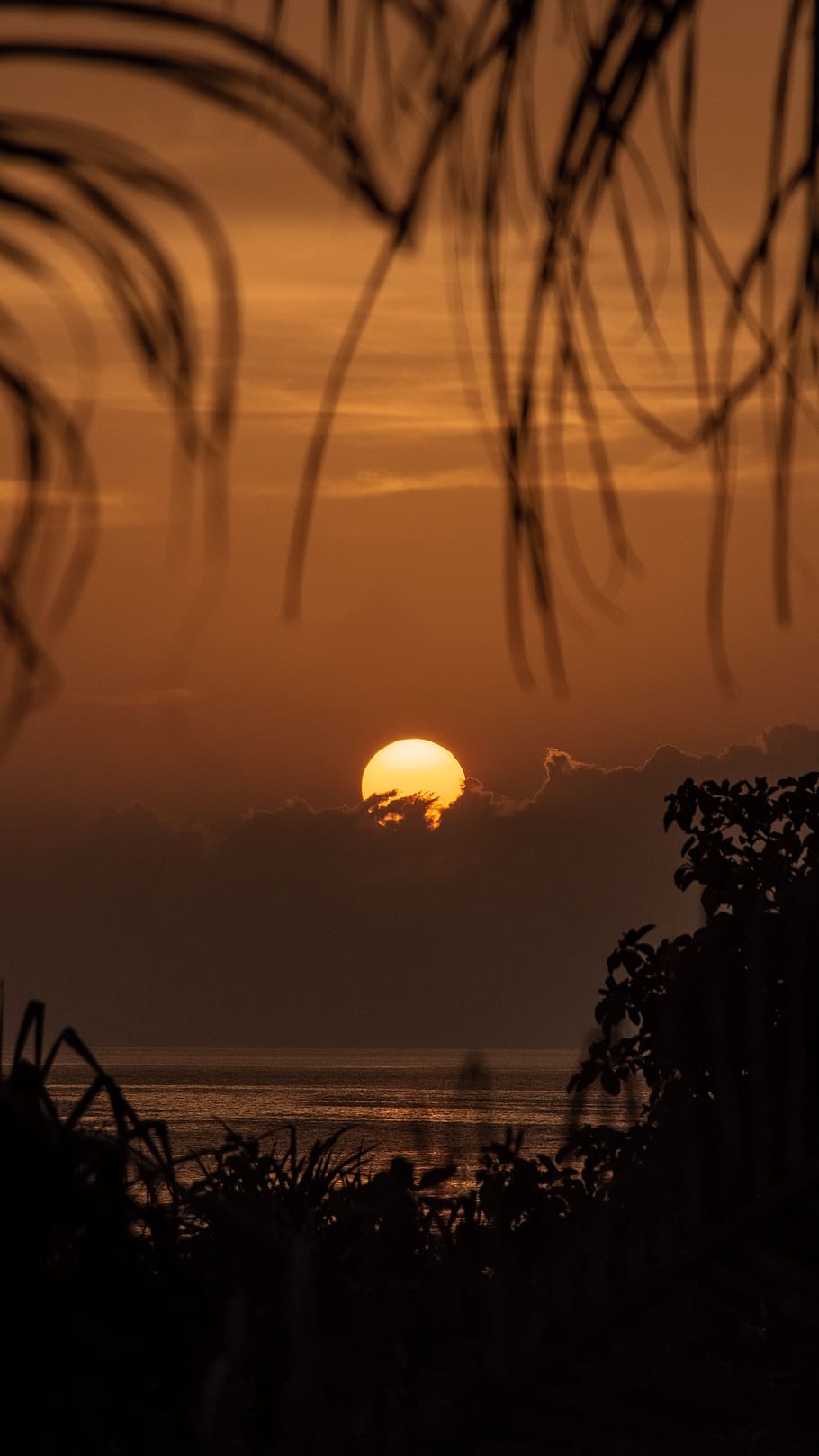 nature, sunlight, outdoors, sunset, red sky, dusk, dawn, sunrise HD wallpaper