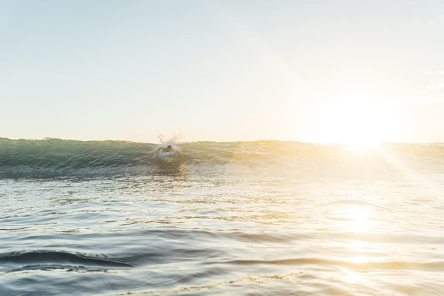 surf, ocean, surfer, surfing, wave, water, sky, sunlight, nature HD wallpaper