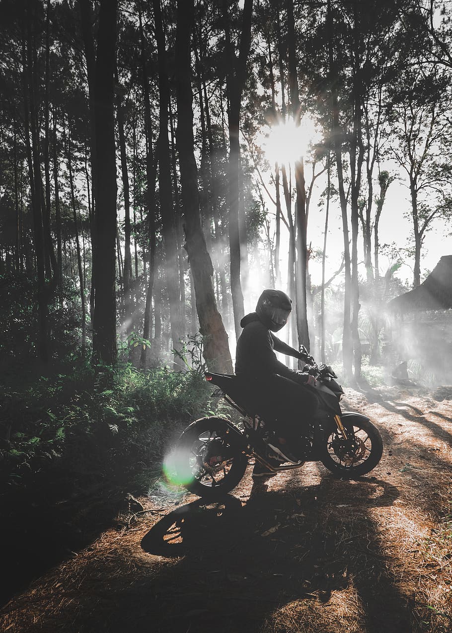 yogyakarta, java, indonesia, village, morning, morning ride HD wallpaper