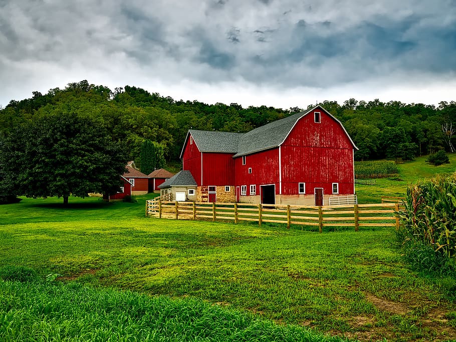 Red Barn, clouds, corn, corn field, country, crops, farm, farmhouse HD wallpaper