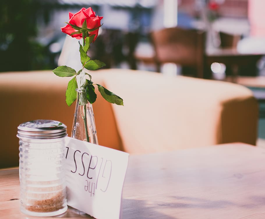 Selective Focus Photography of Red Rose, café, card, color, condiment HD wallpaper
