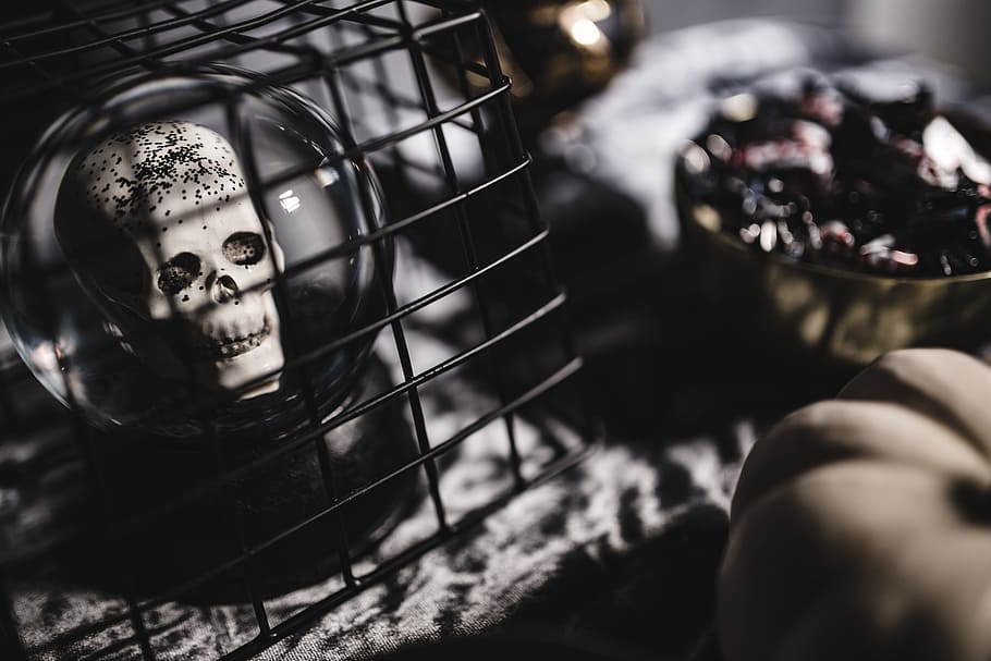 Halloween Decorations, moody, autumn, fall, spooky, boo, scary HD wallpaper