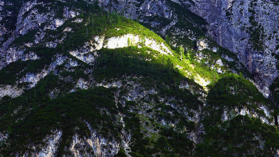 mossy rock formation, tree, mountain, forest, nature, italy, lago di landro HD wallpaper