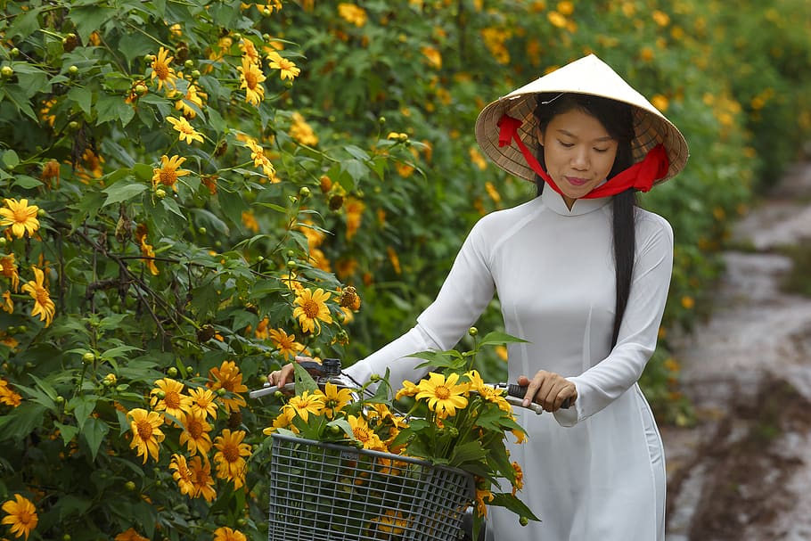 Woman in Brown Cone Hat and White Long-sleeved Dress Holding Bike Handle Near Yellow Flowers, HD wallpaper