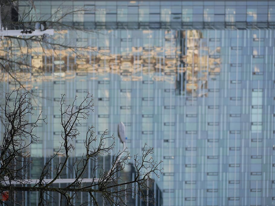 seattle, united states, space needle, reflections, glass, built structure HD wallpaper