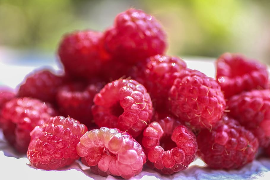 raspberries, raspberry, pink, red, summer, fruit, fruity, healthy HD wallpaper