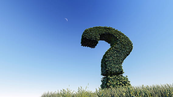 question mark, knowledge, sign, symbol, ask, help, problem HD wallpaper