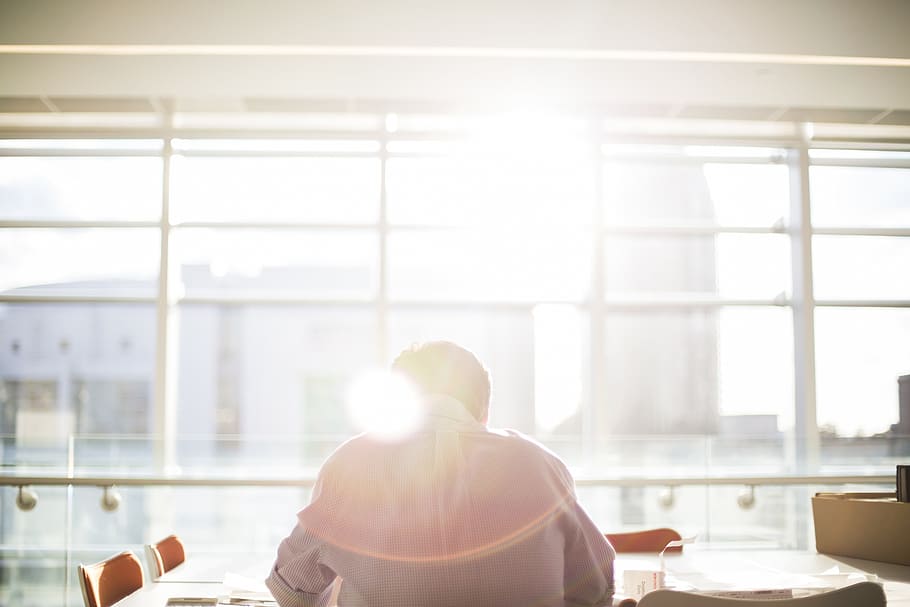 person, office, work, working, cafe, building, bright, sunlight HD wallpaper