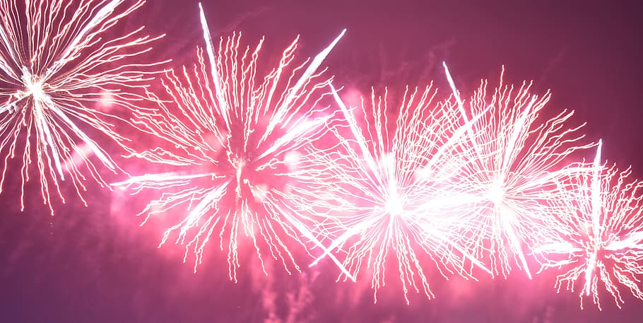firework, event, celebration, firework display, arts culture and entertainment HD wallpaper