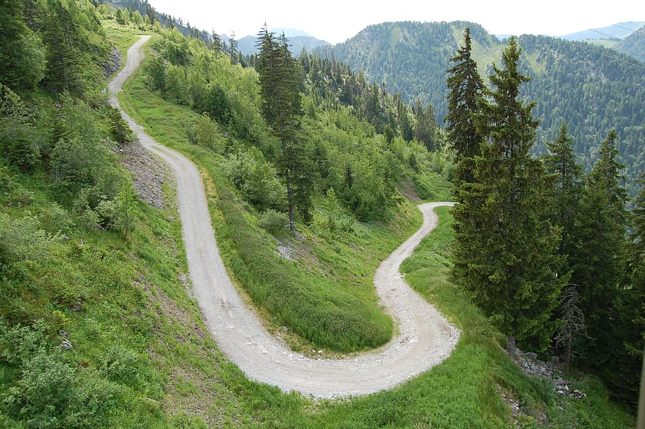 france, frontenex, forest, plant, tree, green color, road, tranquility HD wallpaper