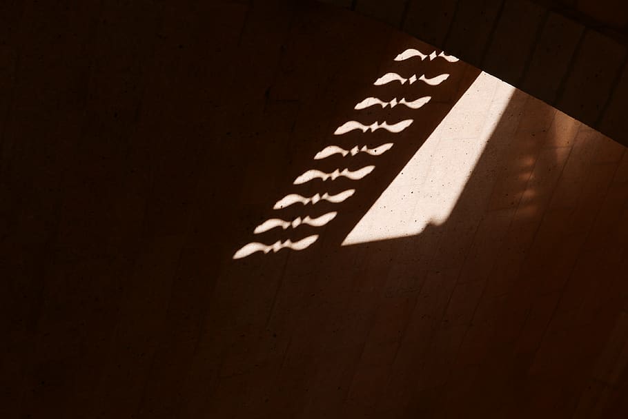 sunlight on wall, indoors, studio shot, text, no people, shadow HD wallpaper