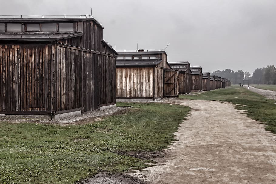 auschwitz 2, brezinka, poland, the holocaust, camp, museum, HD wallpaper