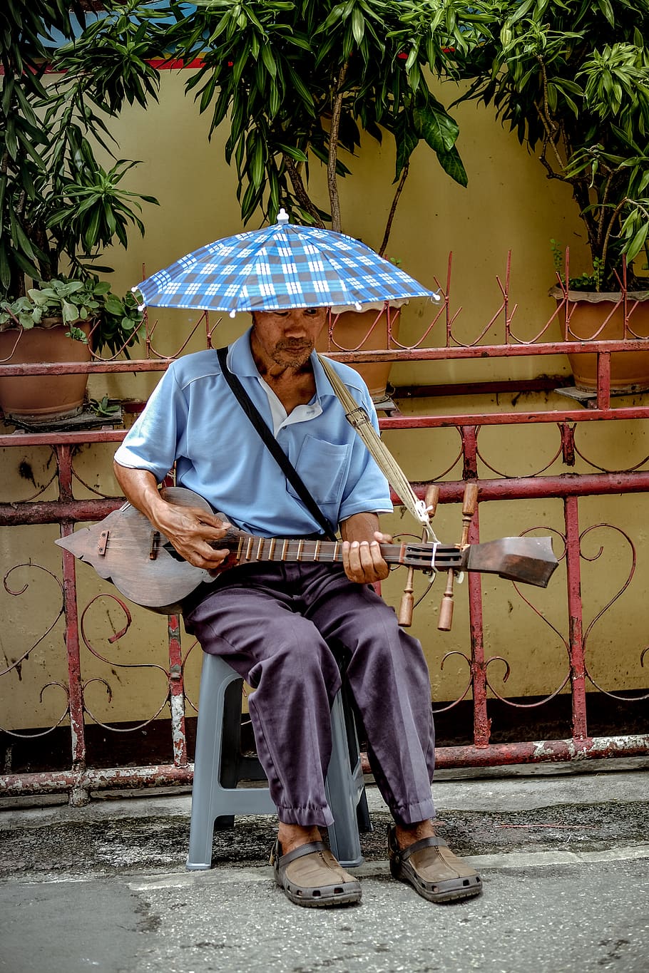 brown, blue, red, fence, music, old man, temple, culture, asium, HD wallpaper