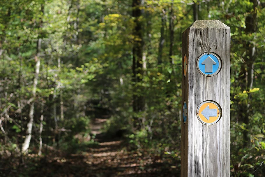 trail marker, signpost, trail sign, way marker, forest, woods, HD wallpaper