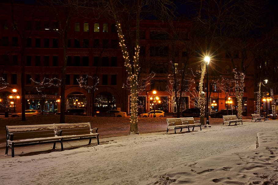 Photo of Snow Covered Benches in the Street, architecture, buildings