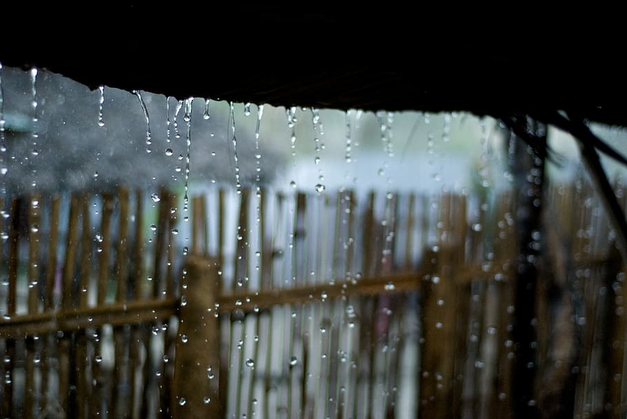 cambodia, rain, rainfall, green, dark, wet, water, drop, window, HD wallpaper