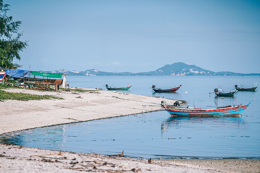 beach, bench, blue, boats, colorful, close-up, green, island HD wallpaper