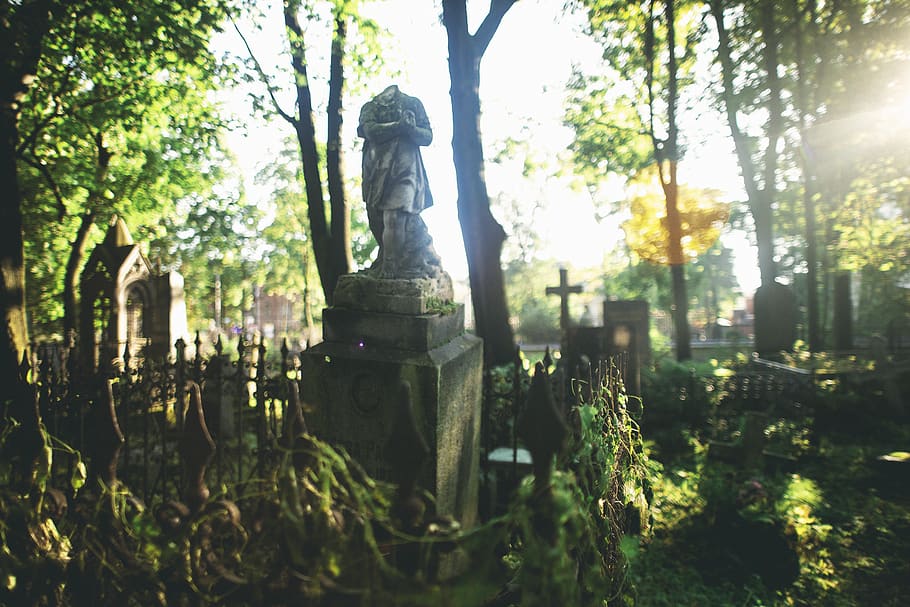 sun rays through trees at cemetery, sculpture, human representation HD wallpaper