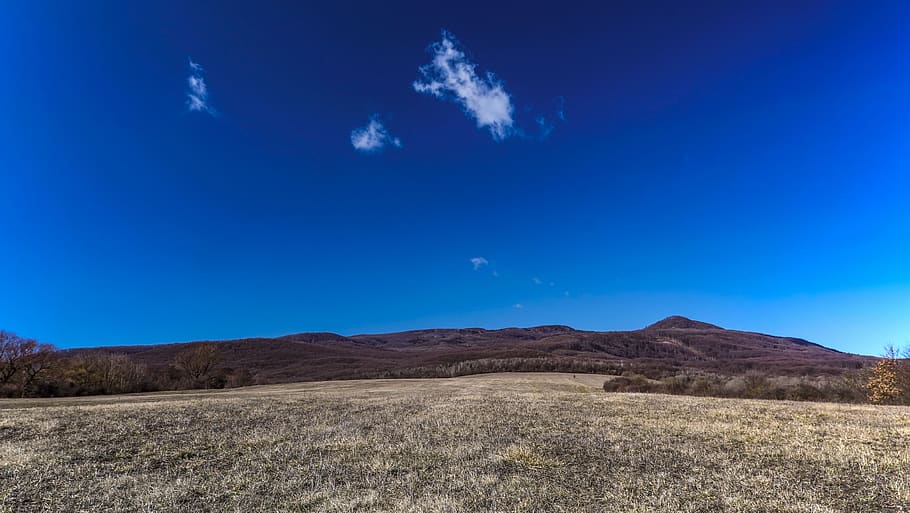 mountains, meadow, forests, nature, the sky, trees, clouds HD wallpaper