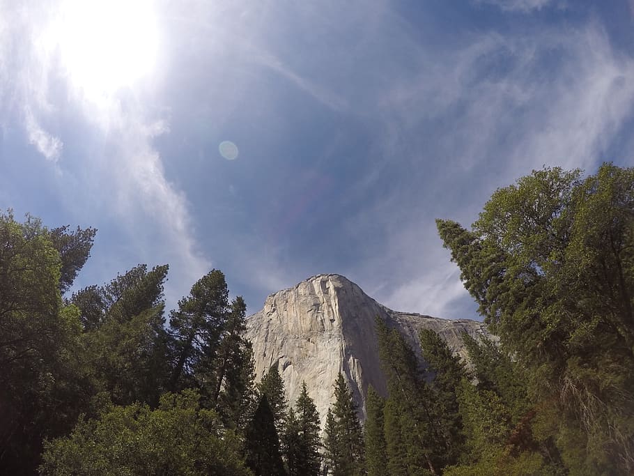 trees, nature, cliff, mountain, sky, clouds, plant, beauty in nature HD wallpaper