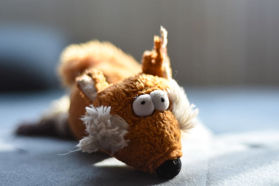 plush, game, fox, funny, toy, stuffed toy, teddy bear, childhood HD wallpaper