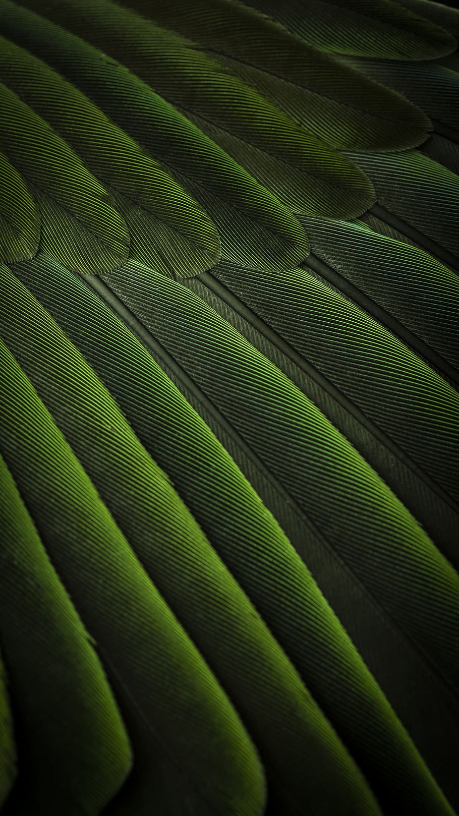 green 3D wallpaper, green color, full frame, leaf, plant part HD wallpaper