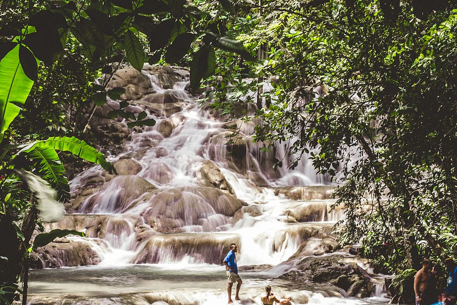 jamaica, ocho rios, jungle, rainforest, tropical, lake, waterfalls, HD wallpaper
