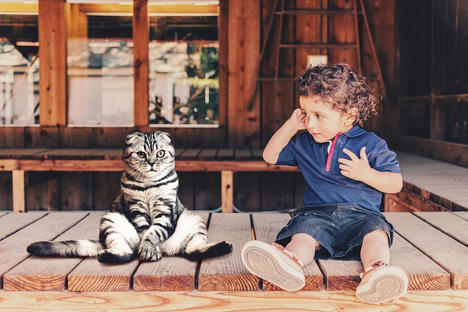child, cat, sit, cute, boy, funny, sweet, friends, strange HD wallpaper