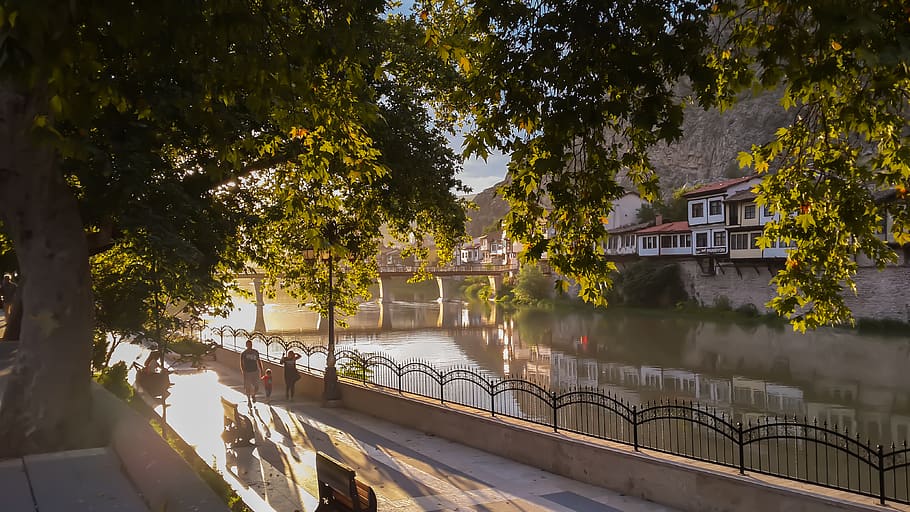 tree, leaves, leaf, bridge, river, riverside, turkey, nature HD wallpaper