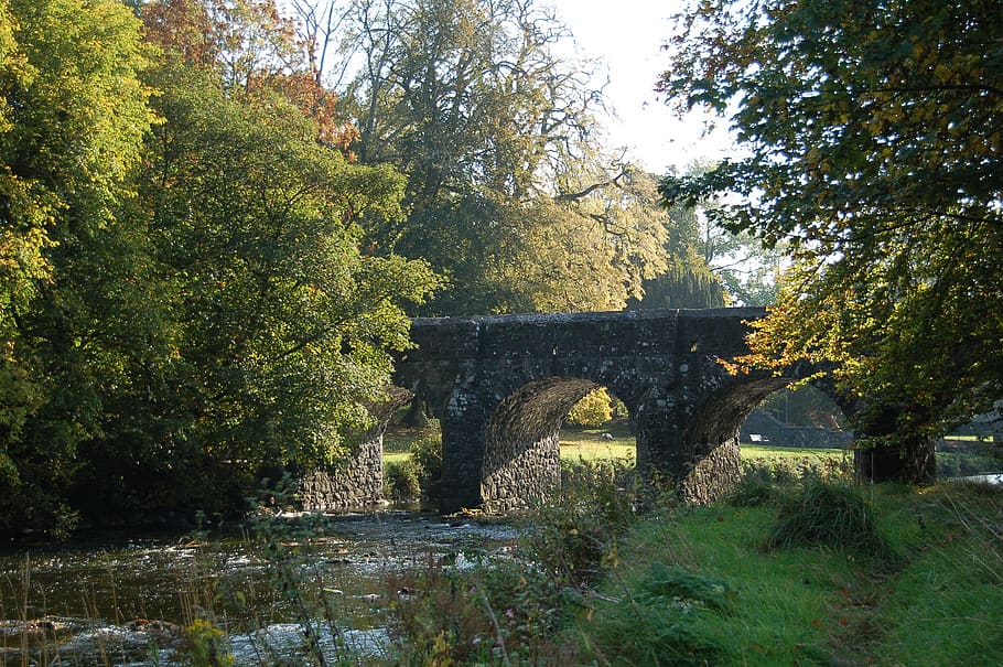 antrim, castle, grounds, tree, plant, bridge, arch, bridge - man made structure HD wallpaper