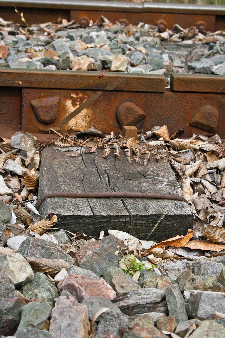 grey, autumn, stone, leaf, wood, train, track, rust, iron, wasteland HD wallpaper