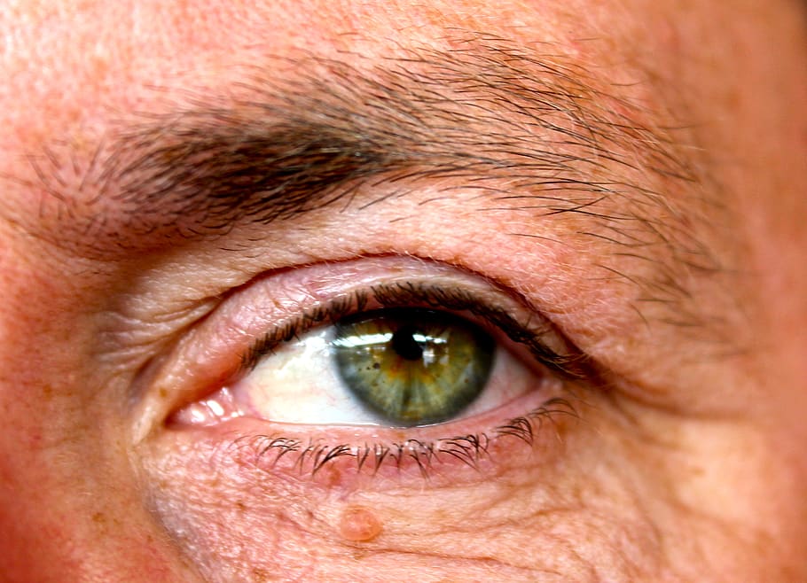 green, eyes, human body part, human eye, eyesight, close-up HD wallpaper