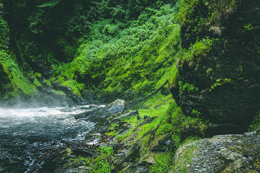 River Surrounded With Mountain, cascade, daylight, environment HD wallpaper