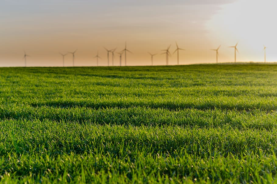grass, green, landscapce, windmill, windmills, nature, outdoor HD wallpaper